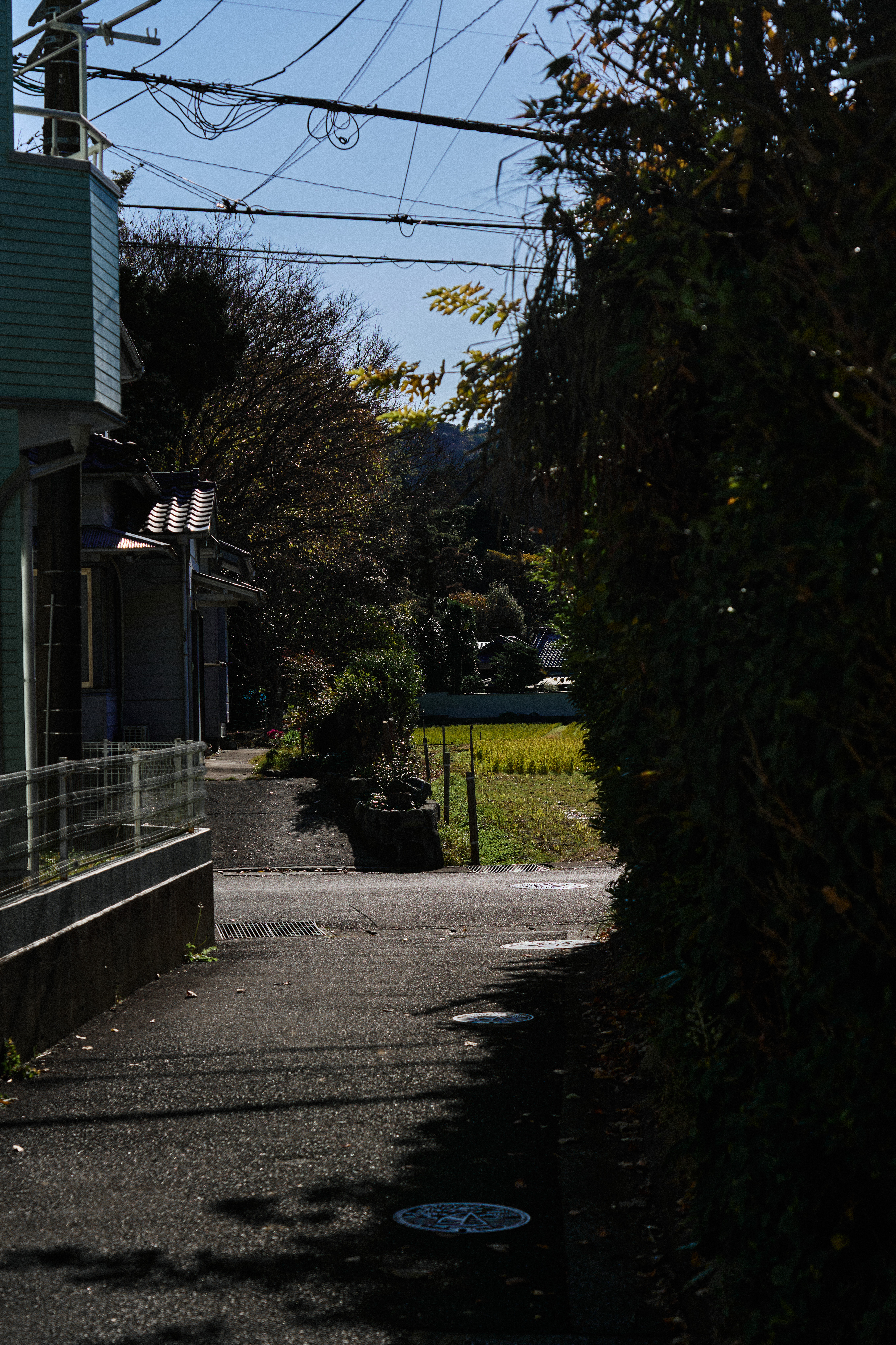 葉山のこみち・石垣